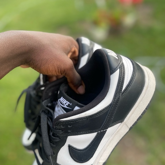 Nike Dunk Low Bundle - Picture 4 of 9